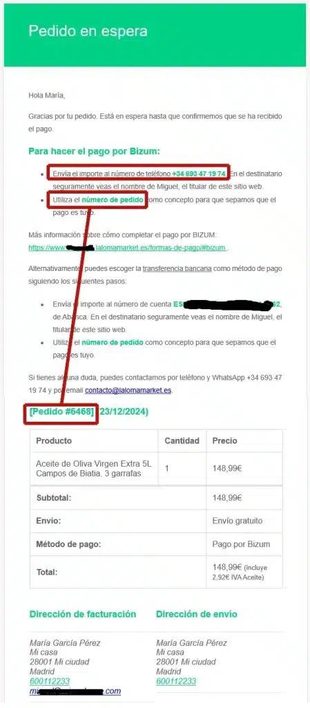 Formas de pago. Bizum. Email de pedido en espera hasta recepción del pago.