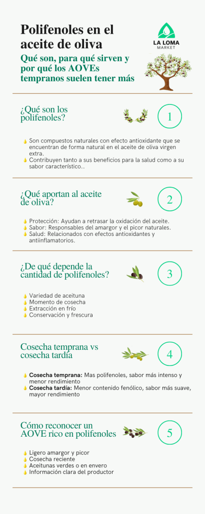 Polifenoles en el aceite de oliva. Infografía